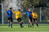 S.K.N.W.K. 3 - Duiveland 3 (comp.) seizoen 2022-2023 (45/48)